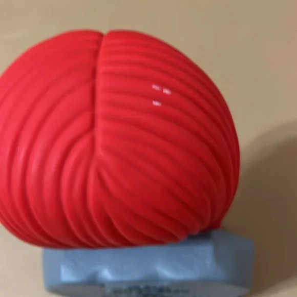 Sally Coin Bank - Picture 4 of 6